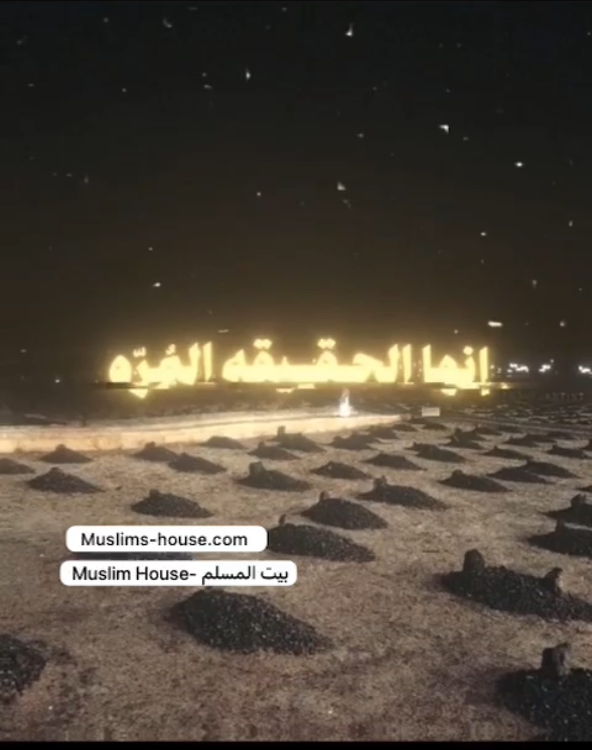 أنها الحقيقة المرة 